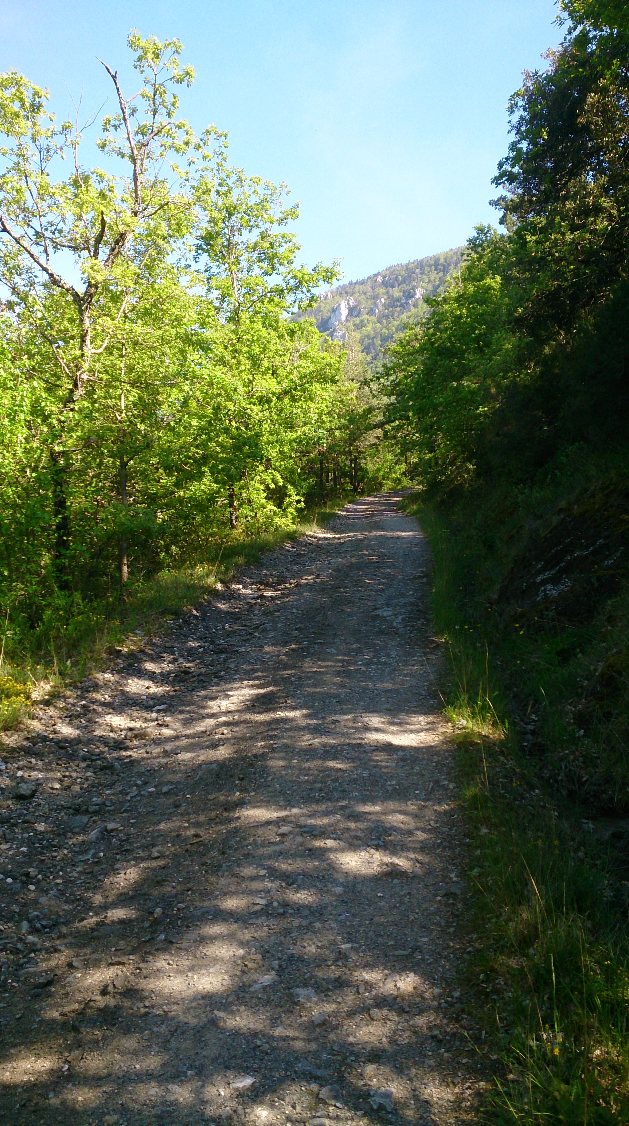 Hill road south of Quillan