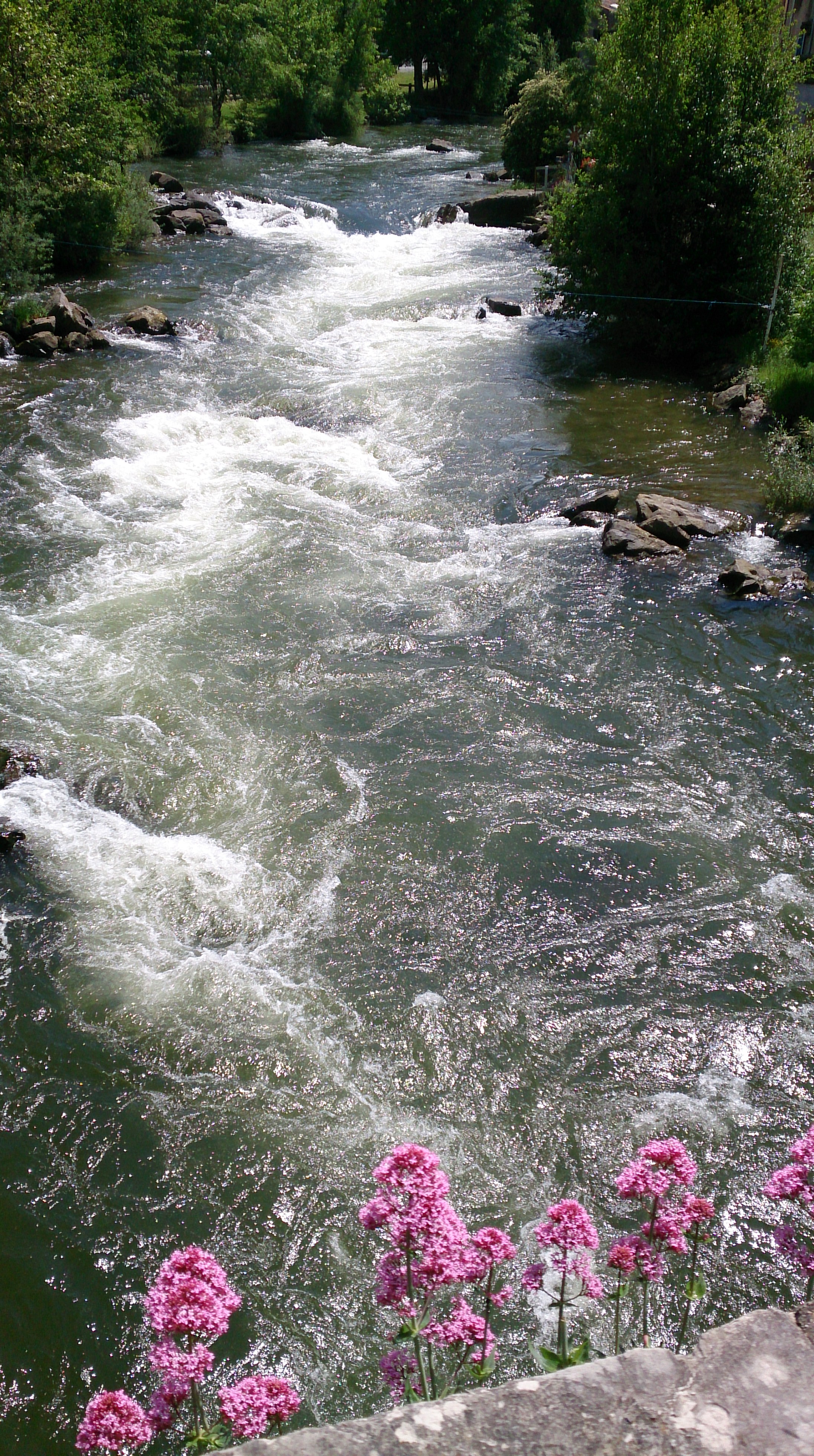 The Aude looking upstream from Quillan's old bridge