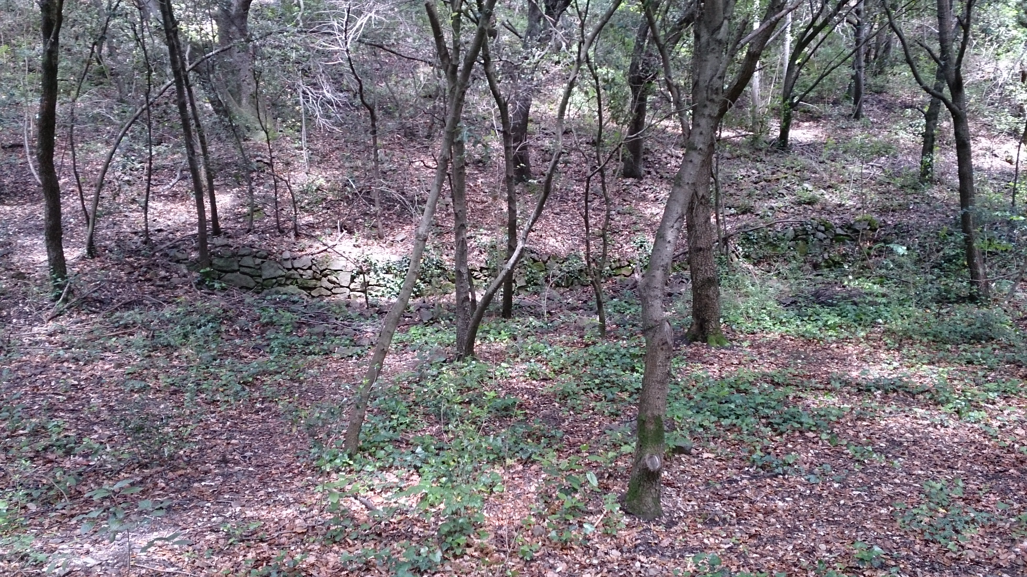 Old stone wall in forest between Quillan and Cavirac